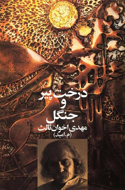 درخت پیر و جنگل