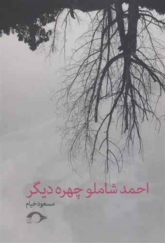 احمد شاملو چهره دیگر