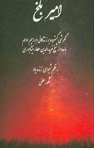 امیر بلخ