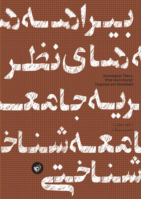 بیراهه های نظریه جامعه شناختی