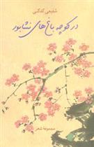 در کوچه باغهای نیشابور