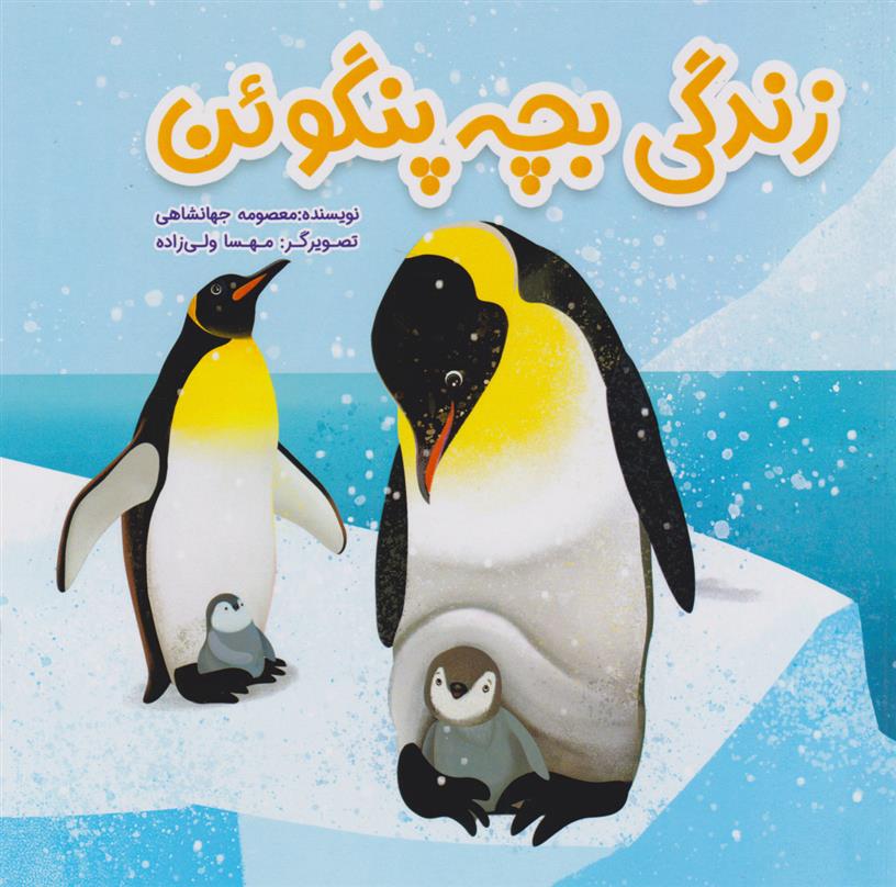 زندگی بچه پنگوئن