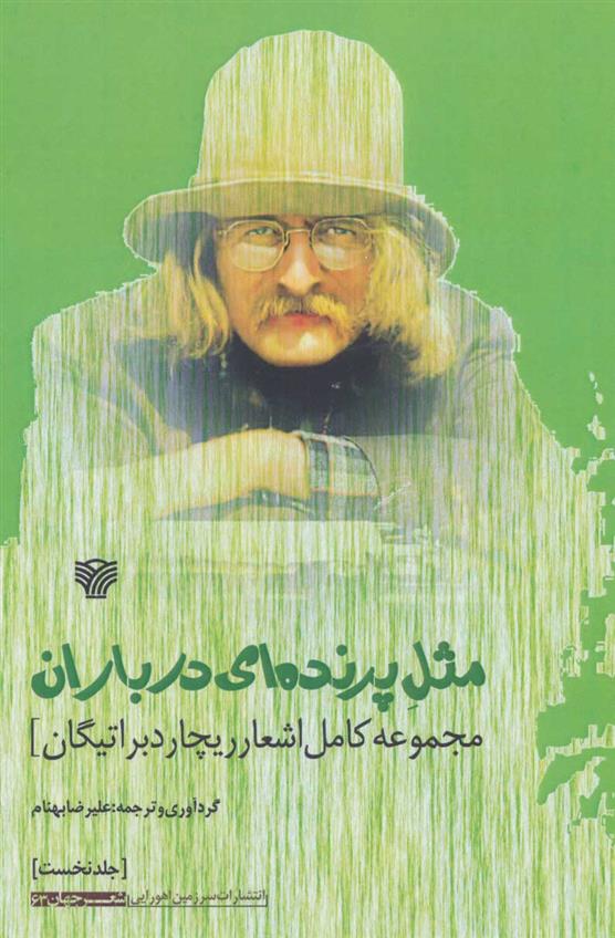 مثل پرنده ای در باران
