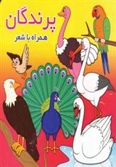 پرندگان