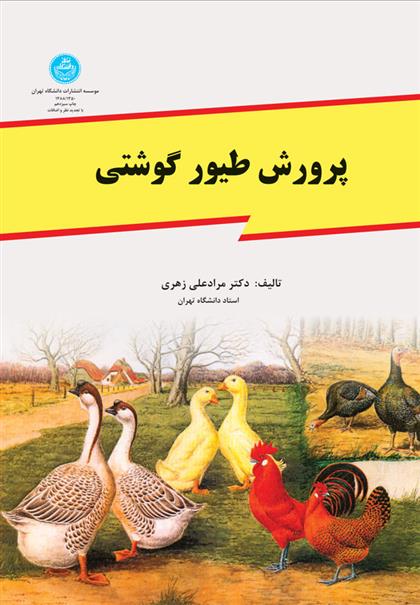 پرورش طیور گوشتی