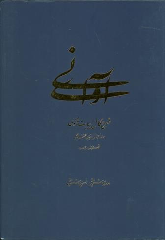 آوای نی