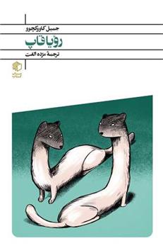 کتاب رویاقاپ