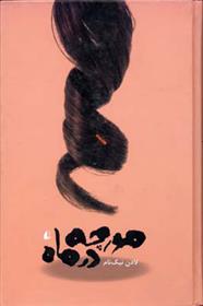 کتاب مورچه در ماه