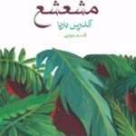 کتاب جمهوری مشعشع