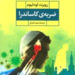 کتاب ضربه ی کاساندرا