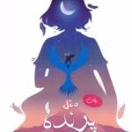 کتاب مثل پرنده پرواز کن