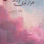 کتاب هزارتوی تردید