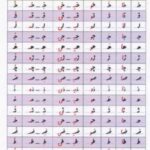 جدول ترکیب صامت ها و مصوت ها A4 (لمینت)