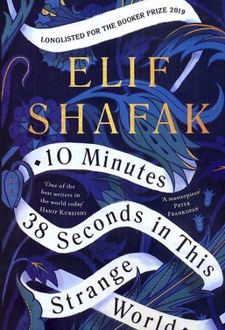 کتاب 10 Minutes 38 Seconds in this Strange World