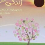 کتاب زندگی کن! 2