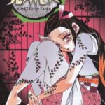 کتاب مجموعه مانگا : DEMON SLAYER 11