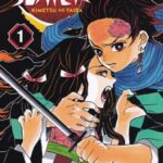 کتاب مجموعه مانگا : DEMON SLAYER 1
