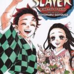 کتاب مجموعه مانگا : DEMON SLAYER 23