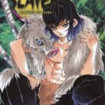 کتاب مجموعه مانگا : DEMON SLAYER 7