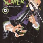 کتاب مجموعه مانگا:DEMON SLAYER 13