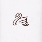 کتاب چگونه بدرخشید
