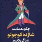 کتاب چگونه مانند شازده کوچولو زندگی کنیم