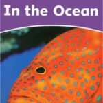 کتاب In the Ocean