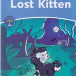 کتاب lost kitten