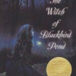کتاب The Witch Of Blackbird Pond