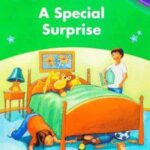 کتاب A Special Surprise