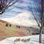 کتاب گنجینه کلام