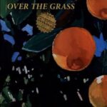 کتاب Violet Bent Backwards Over the Grass